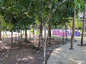place photo 21