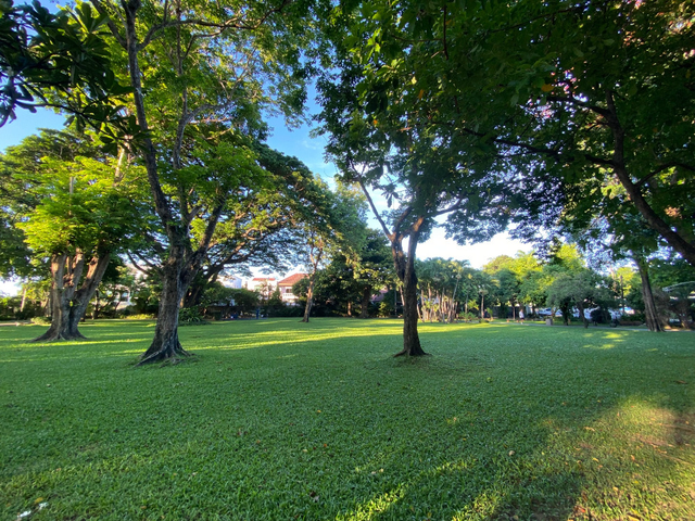 place photo 62
