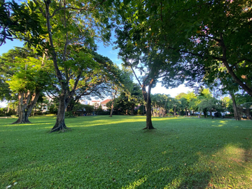 place photo 62
