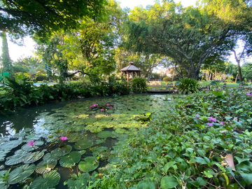 place photo 66