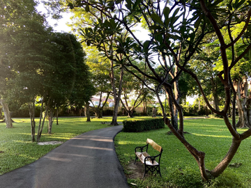 place photo 61