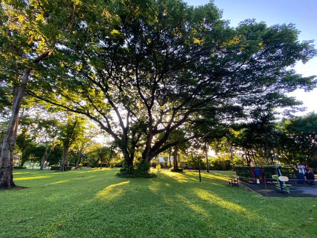 place photo 63