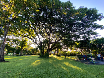 place photo 63