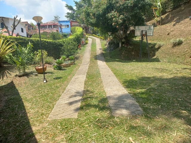 place photo 49