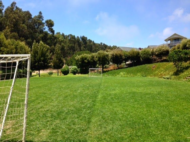 place photo 18