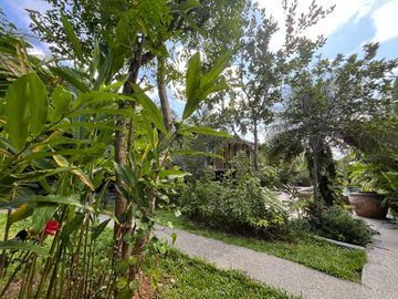 place photo 26