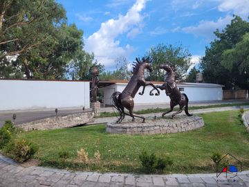place photo 24