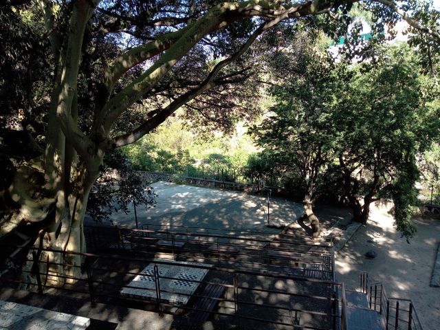 place photo 24