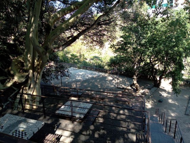 place photo 21