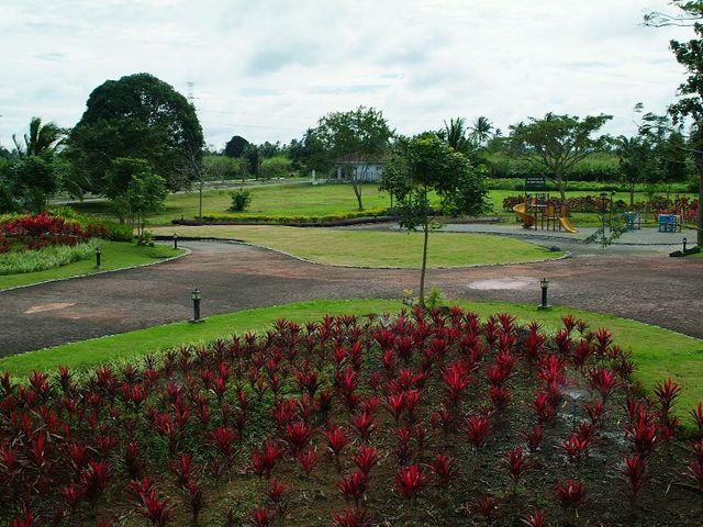 place photo 21
