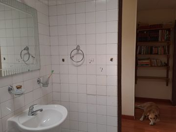 place photo 13