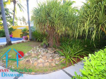 place photo 24
