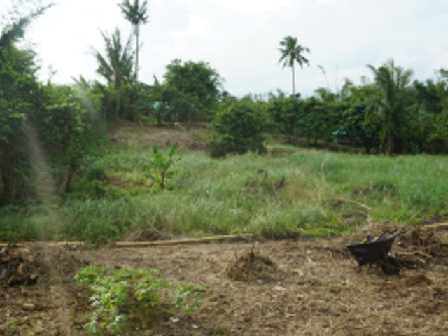 place photo 30