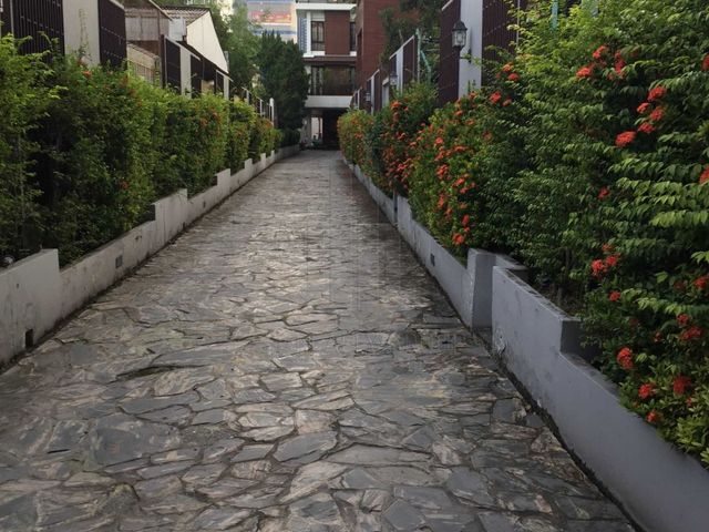 place photo 19
