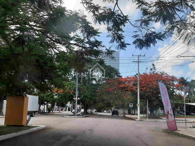 place photo 27