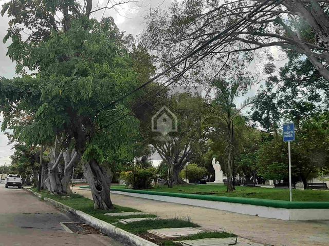 place photo 30