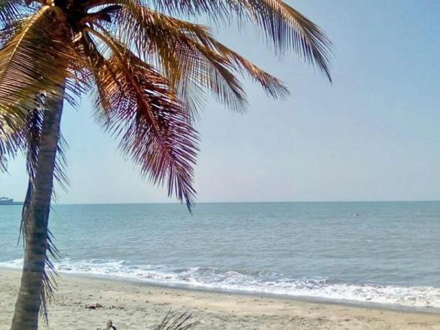 place photo 17