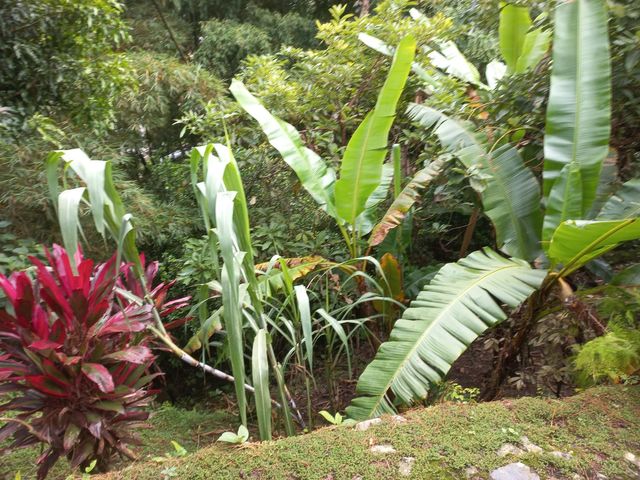 place photo 24