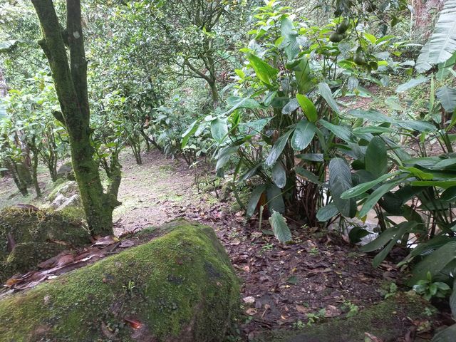 place photo 25