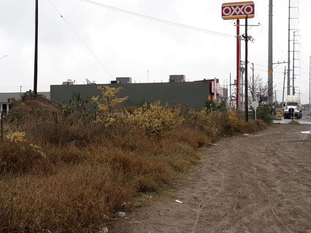 place photo 28