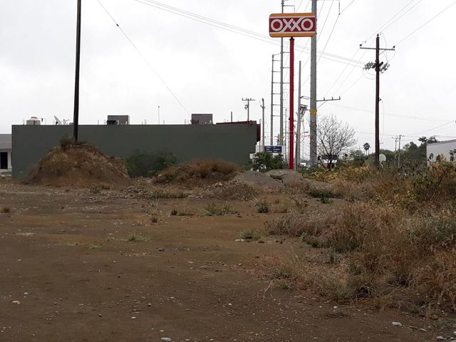 place photo 24