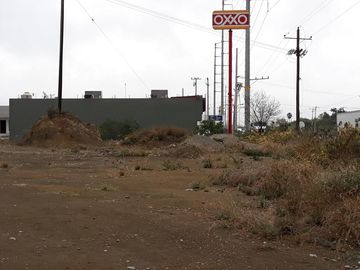 place photo 24