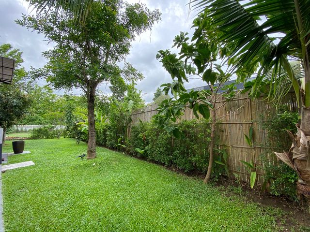 place photo 56