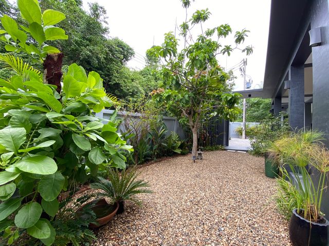 place photo 55