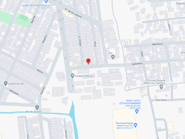 place photo 7