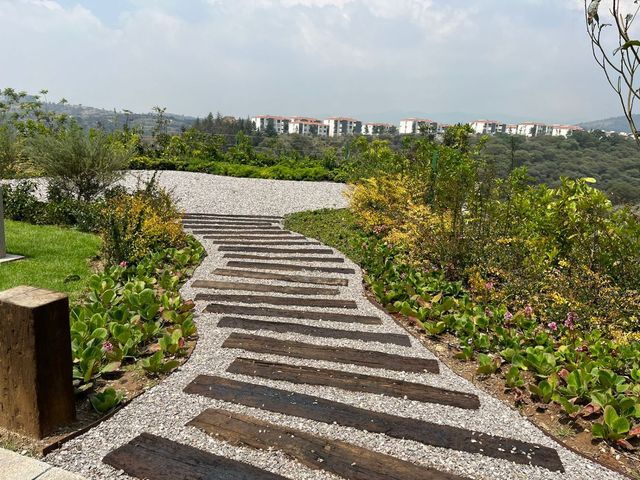 place photo 33