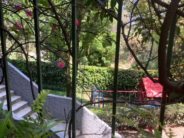 place photo 32