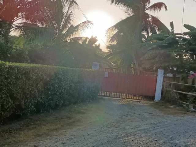 place photo 19