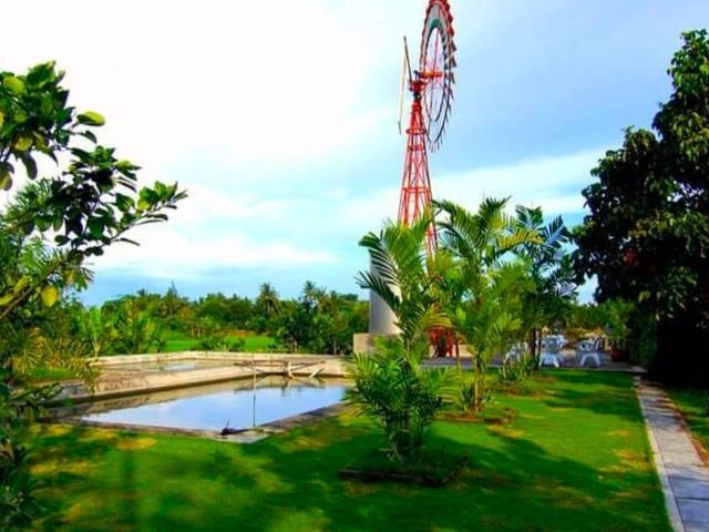place photo 12