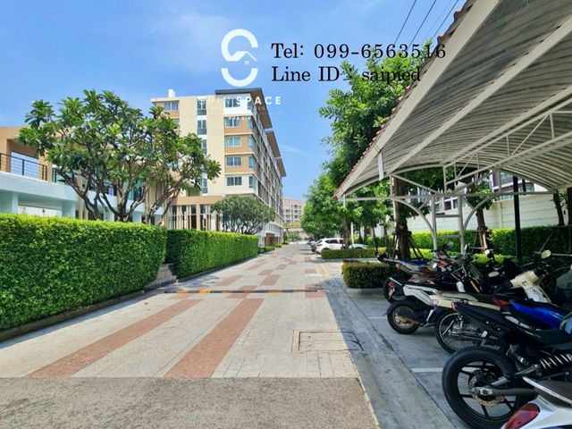 place photo 27