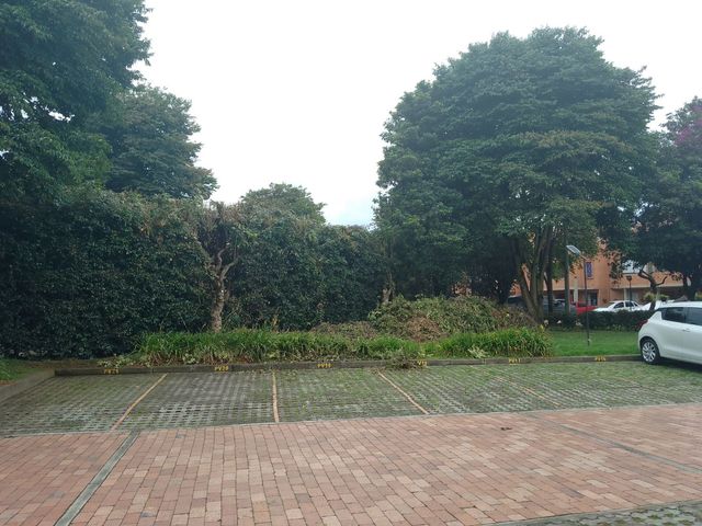 place photo 22