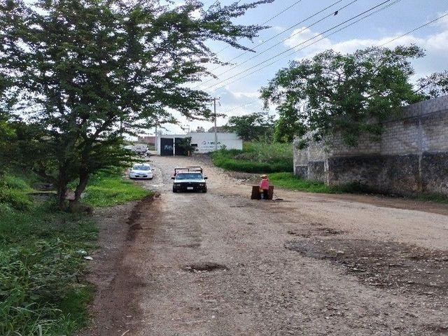 place photo 11