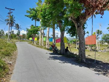 place photo 10