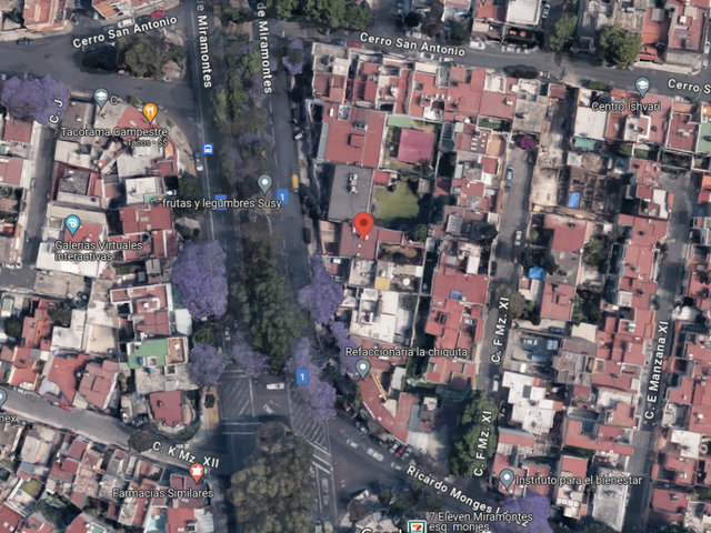 place photo 14