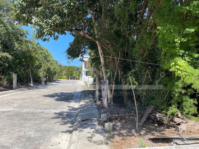 place photo 32