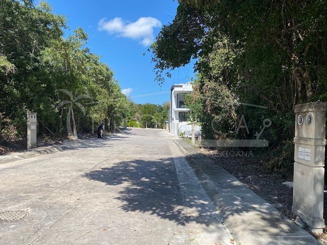 place photo 27