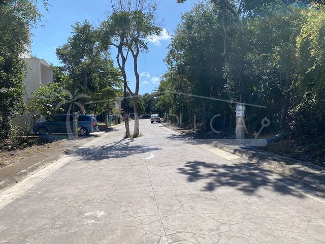 place photo 28
