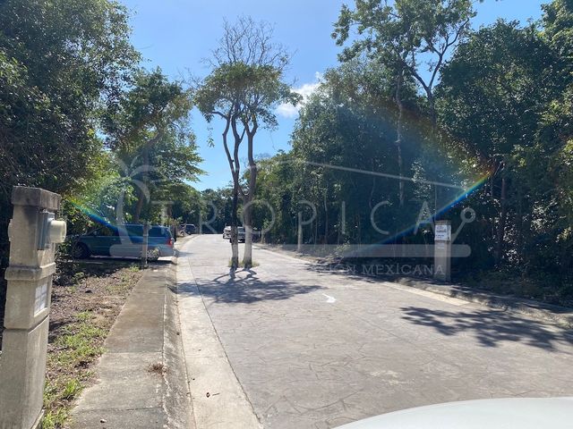place photo 31