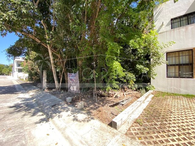 place photo 29