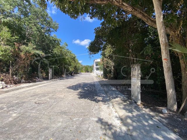 place photo 26