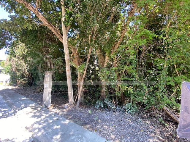 place photo 21