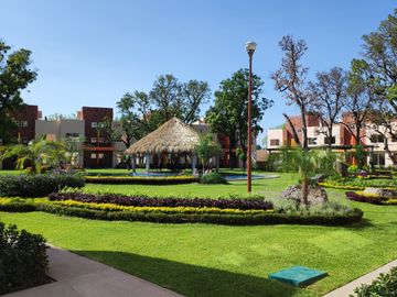 place photo 21