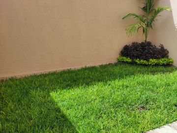 place photo 28