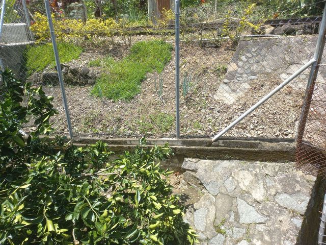 place photo 51