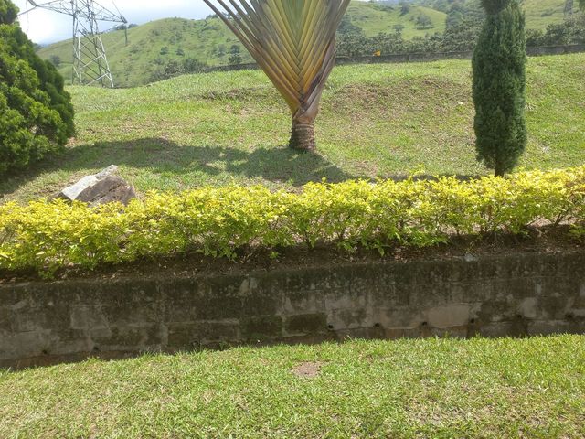 place photo 52