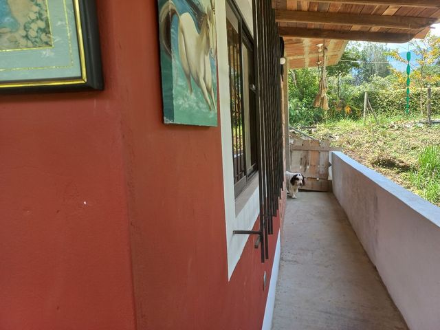 place photo 57
